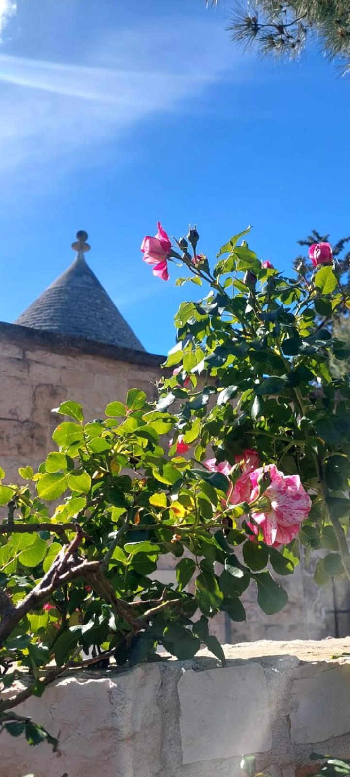 Vila Il Trullo Delle Rose, Monopoli By Il Pumo Di Puglia Cozzana Exteriér fotografie